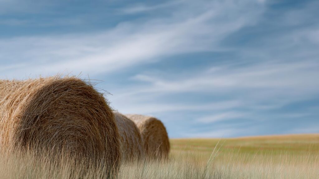 PPB in the News: Asset-backed lending funds